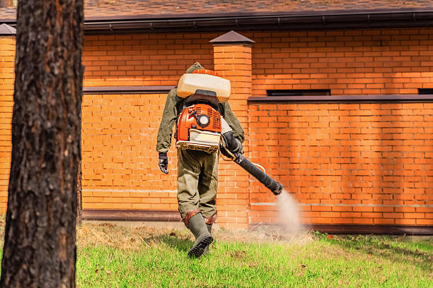 Bed Bug Clearance Verification and Documentation in Lindsay